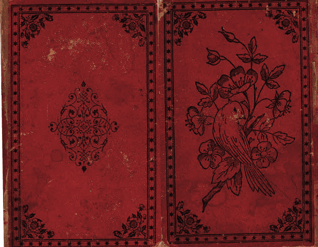 Poetry Collection of Sheikh Hanna Beik Abi Saab ديوان الشيخ حنا بك أبي صعب cover
